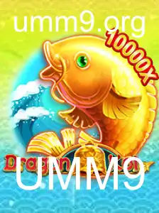 Descubra DragonKoi - Um jogo imersivo que está conquistando o mundo